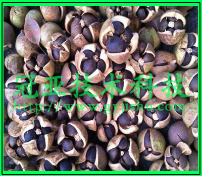 油茶籽水份活度测量仪原理